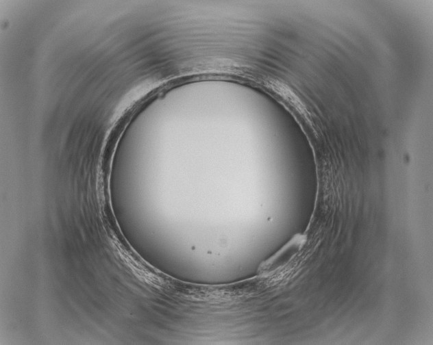 X0000062671072200601041003