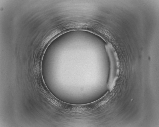 X0000062671073200601041003