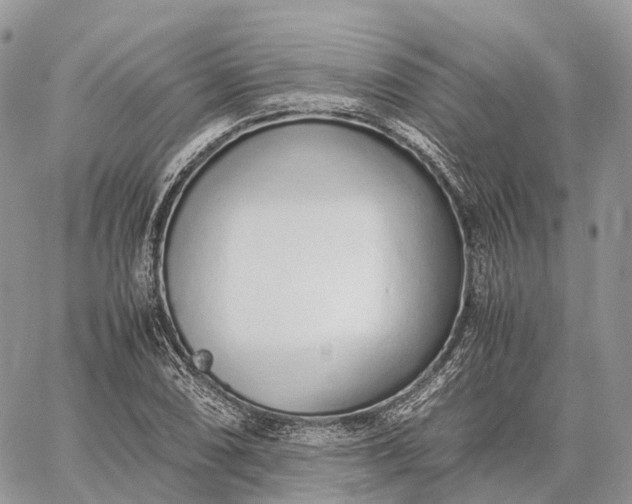 X0000062671074200601041003