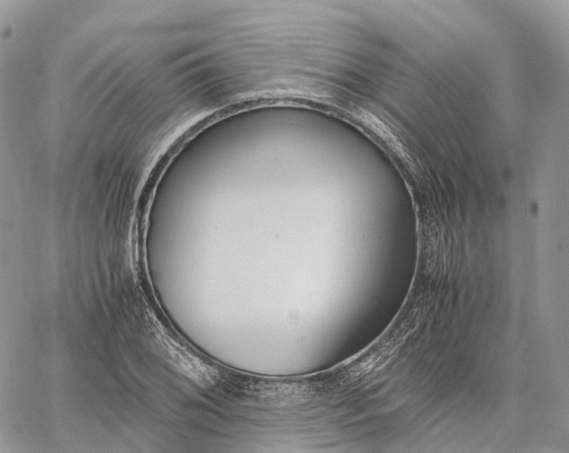 X0000062671076200601041003