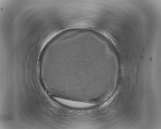 X0000062671077200601041003