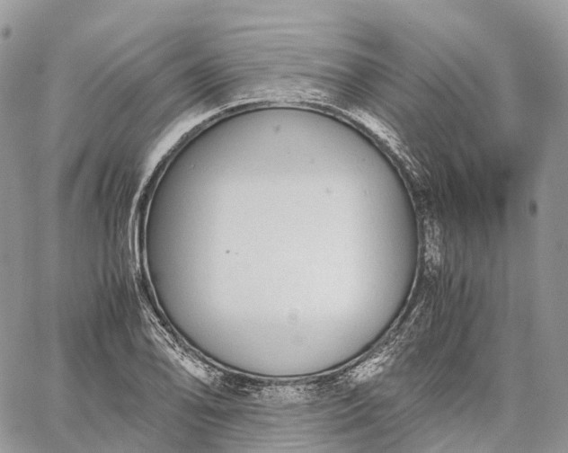 X0000062671078200601041003