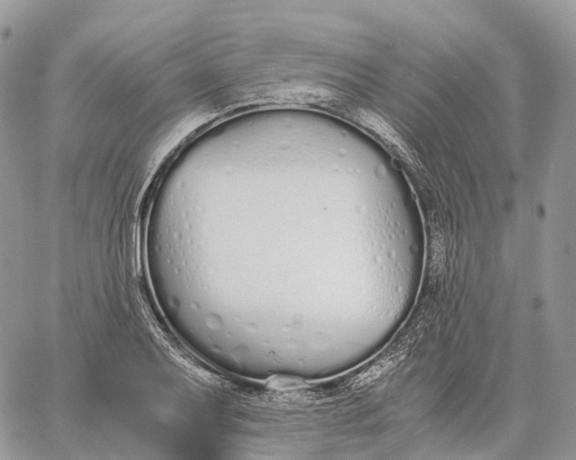 X0000062671079200601041003