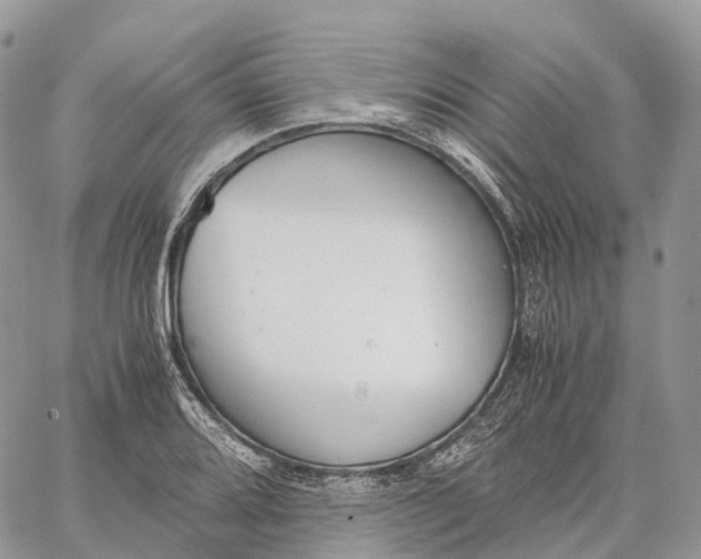 X0000062671080200601041003