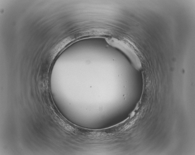 X0000062671081200601041003