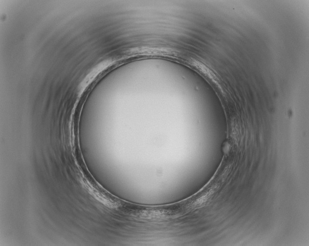 X0000062671082200601041003