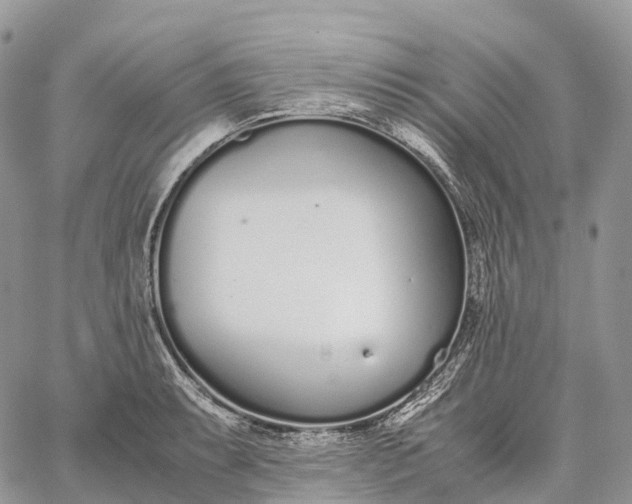 X0000062671087200601041003