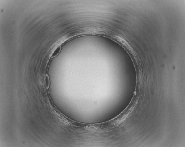 X0000062671089200601041003