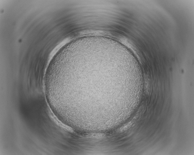 X0000062671090200601041003