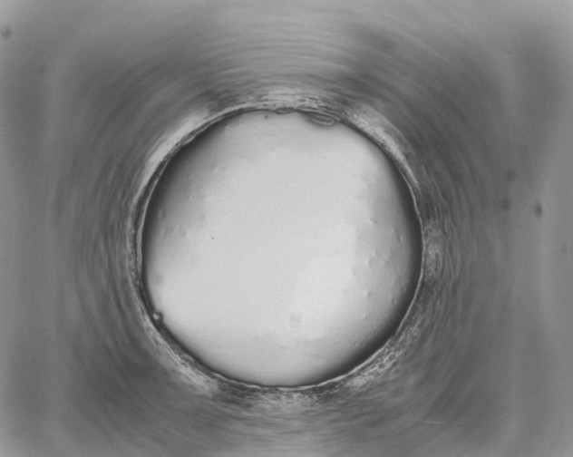 X0000062671091200601041003