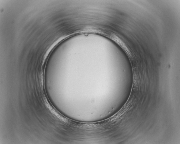 X0000062671092200601041003