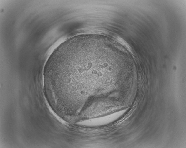 X0000062671095200601041003