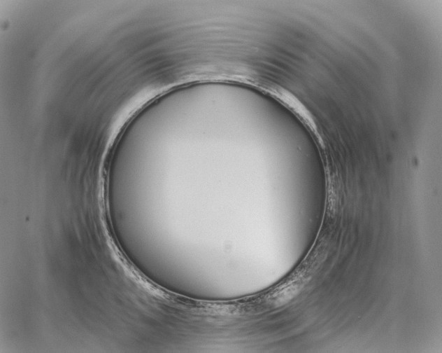 X0000062671096200601041003