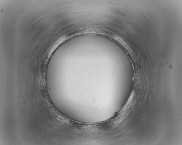 X0000062671097200601041003