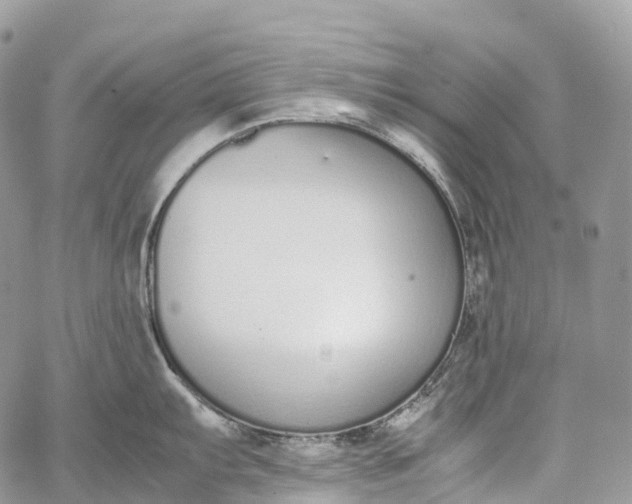 X0000062671103200601041003