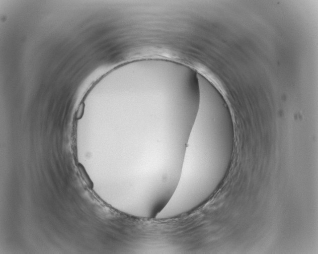 X0000062671104200601041003