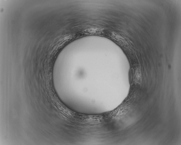 X0000062671105200601041002