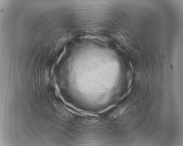 X0000062671106200601041002