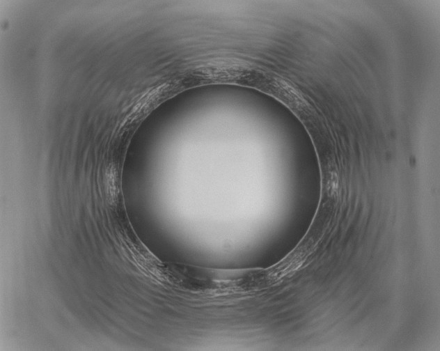 X0000062671108200601041002