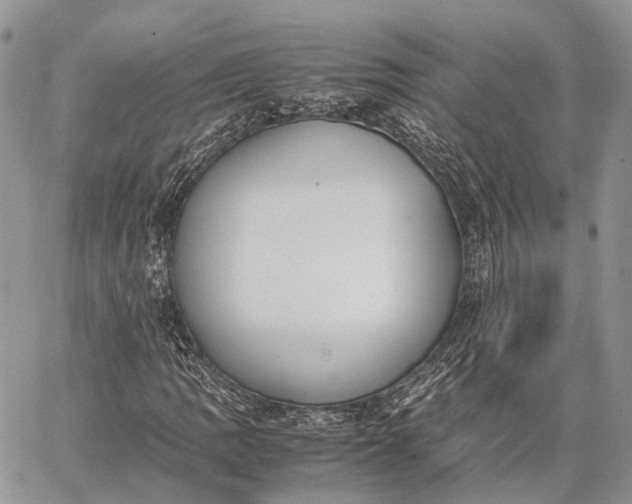 X0000062671109200601041002