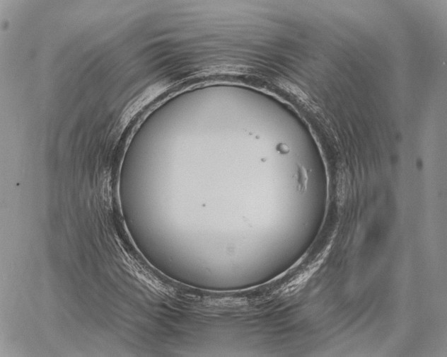 X0000062671113200601041002