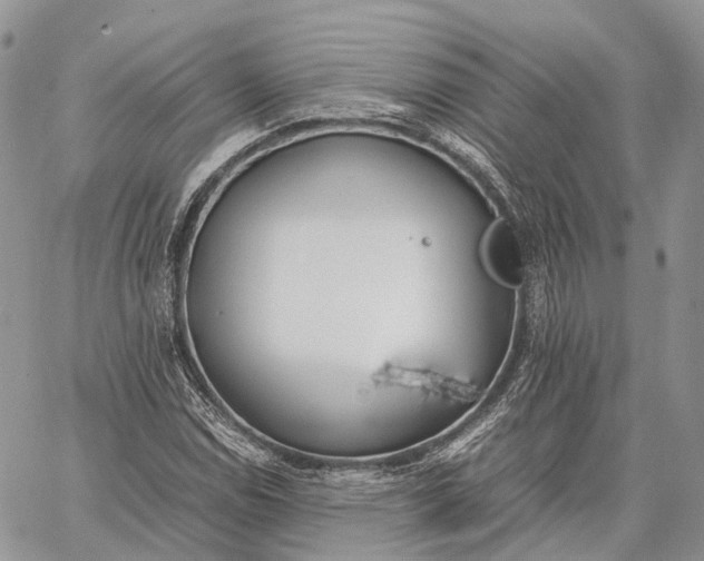 X0000062671114200601041002