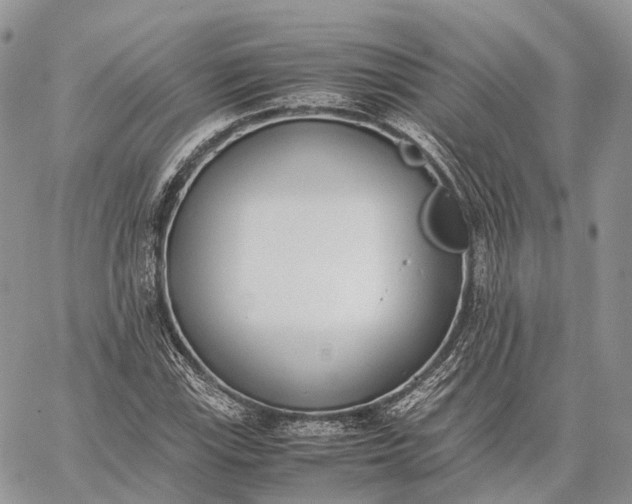 X0000062671115200601041002