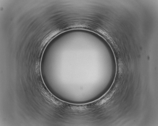 X0000062671121200601041002