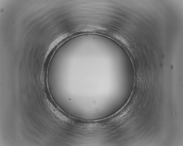 X0000062671122200601041002