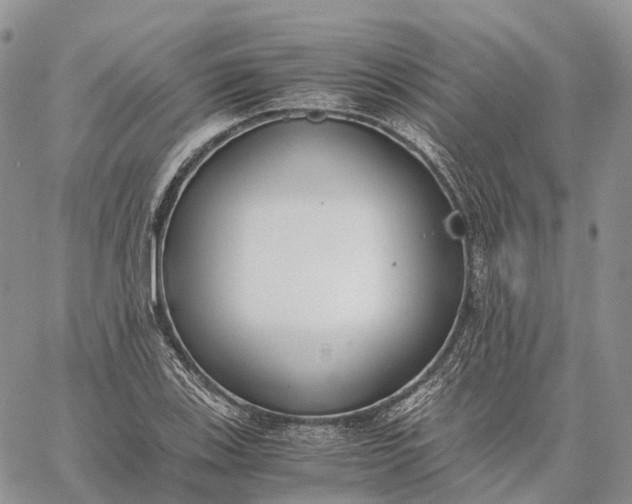 X0000062671123200601041002