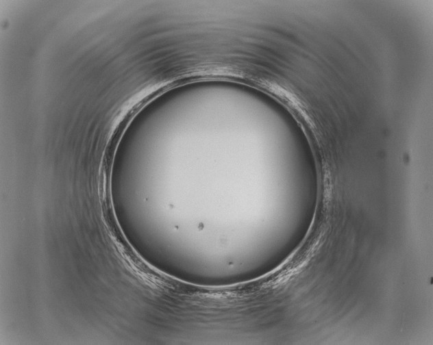 X0000062671125200601041002