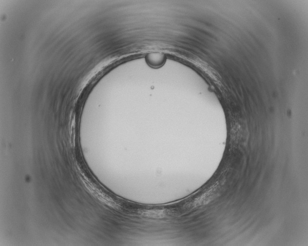 X0000062671126200601041002