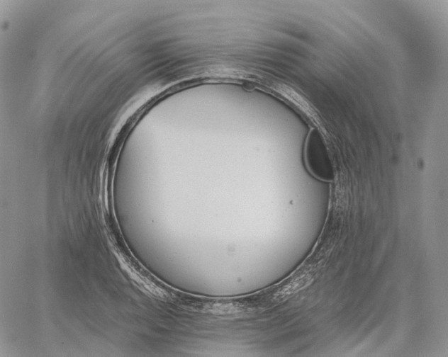 X0000062671128200601041003