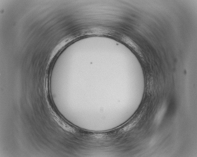 X0000062671130200601041003