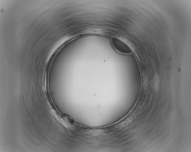 X0000062671131200601041003