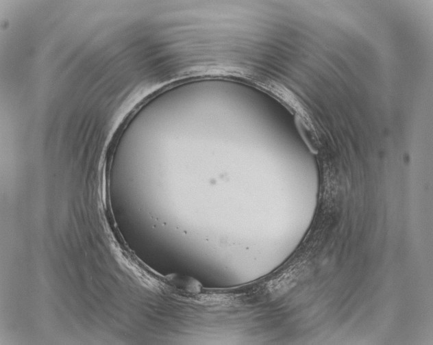 X0000062671132200601041003