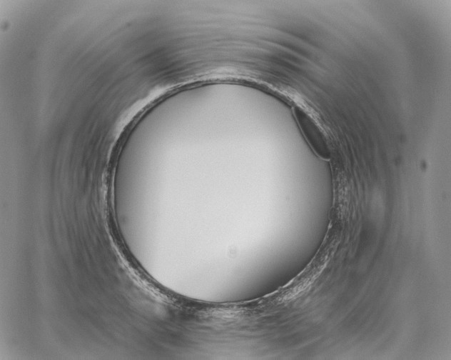 X0000062671134200601041003