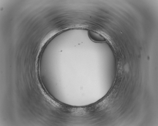 X0000062671135200601041003