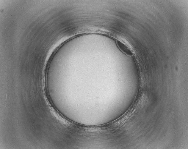 X0000062671136200601041003