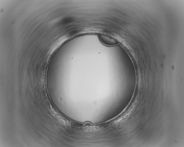 X0000062671137200601041003