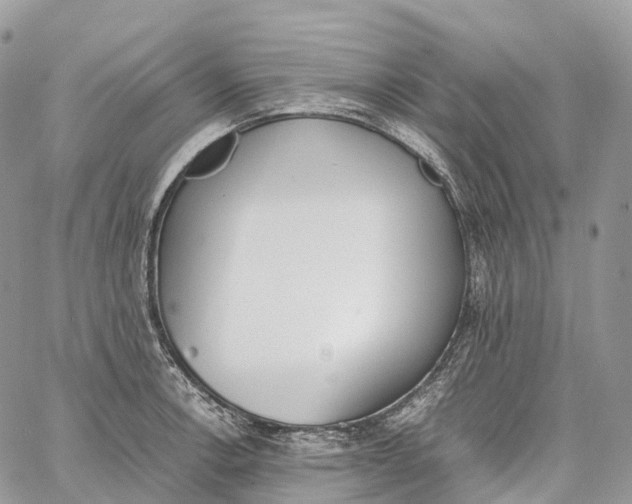 X0000062671138200601041003