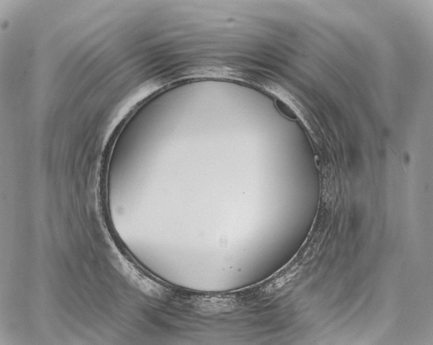 X0000062671139200601041003