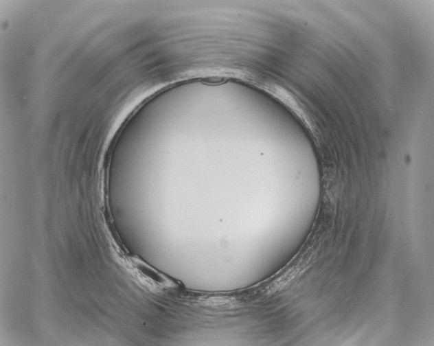 X0000062671140200601041003