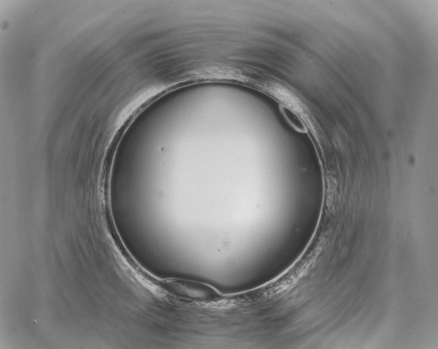 X0000062671141200601041003