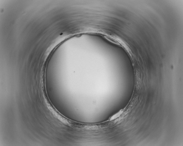 X0000062671142200601041003