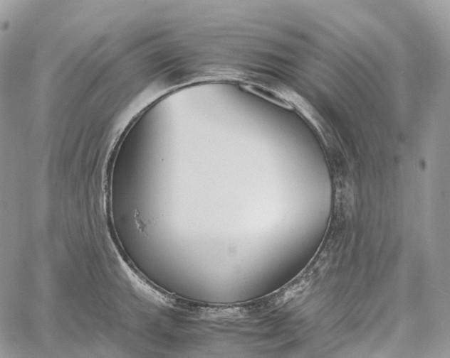 X0000062671143200601041003