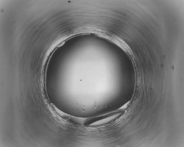 X0000062671144200601041003