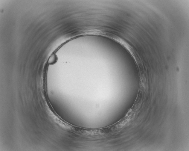 X0000062671147200601041003