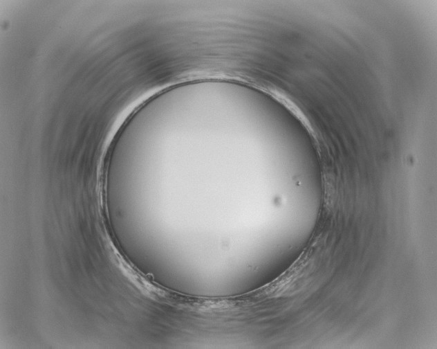 X0000062671148200601041003