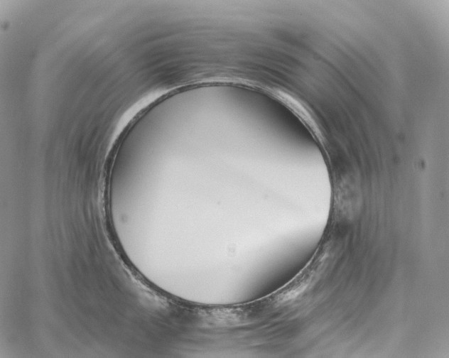 X0000062671149200601041003